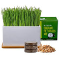 Cat Grass Growing Kit