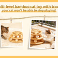 Cat Interactive Ball Track Toy