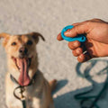Dog Clicker Training Set with Guide