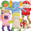 Dog Squeaky Plush Toy Set of 5