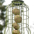 Garden Bird Fat Ball Feeder