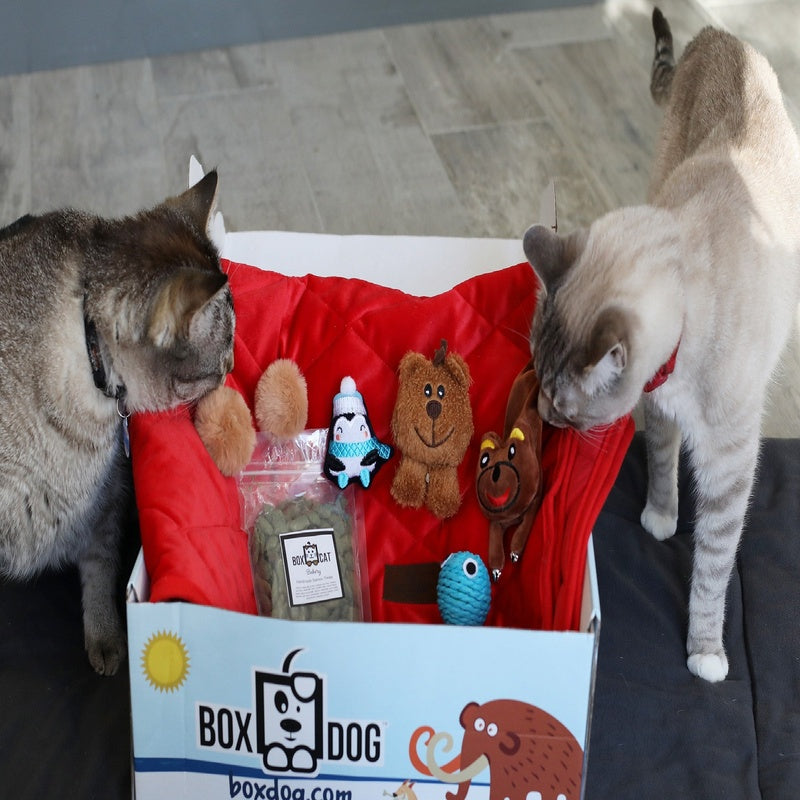 PawLux Monthly Luxury Dog Subscription Box Monthly (1 Box)