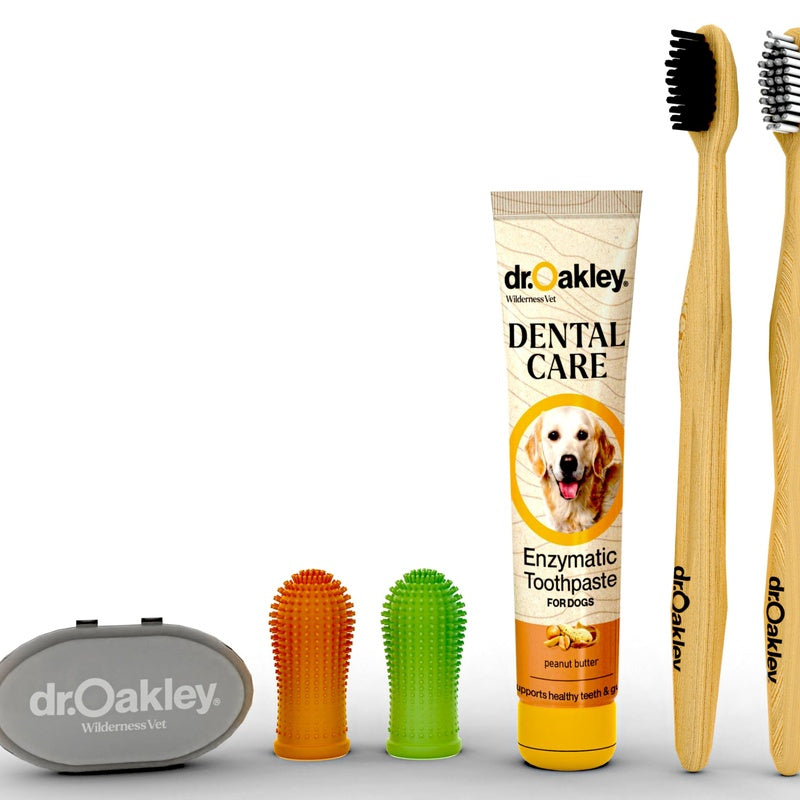 Pet Dental Finger Brush Kit
