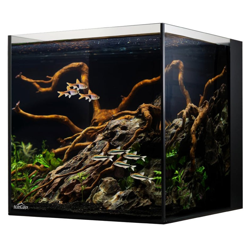 Premium Rimless Aquarium Complete Kit 120L