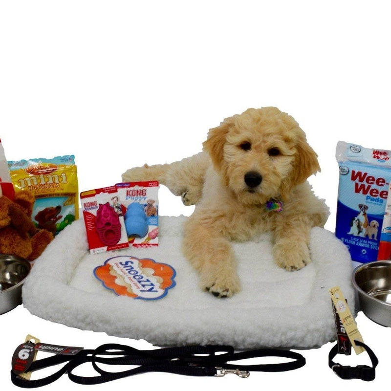 Puppy Starter Kit Deluxe